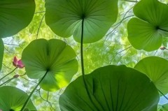 彻底闹翻！皇马仅1人出席金球盛典：佛爷记仇无限期抵制